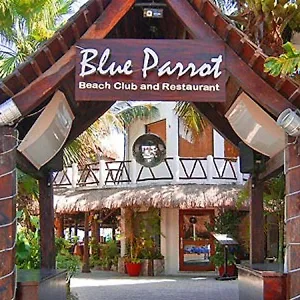 Blue Parrot Hotel Playa del Carmen